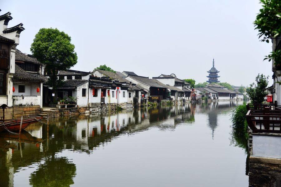 可爱兔子营救