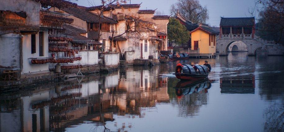 道奇蝰蛇找不同